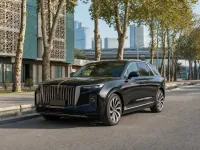 Hongqi E-HS9 2023 — спереди